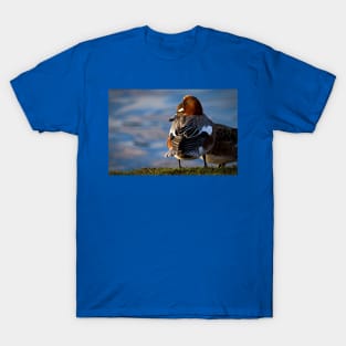 Wigeon enjoying the sunshine T-Shirt